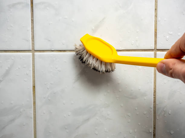 Home Mold Removal in College Park, GA