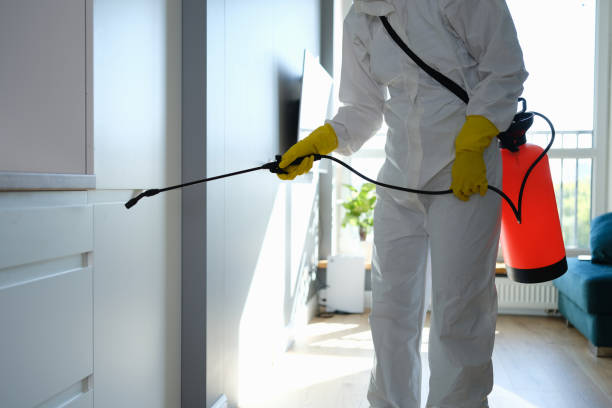 Best Mold Damage Repair  in College Park, GA