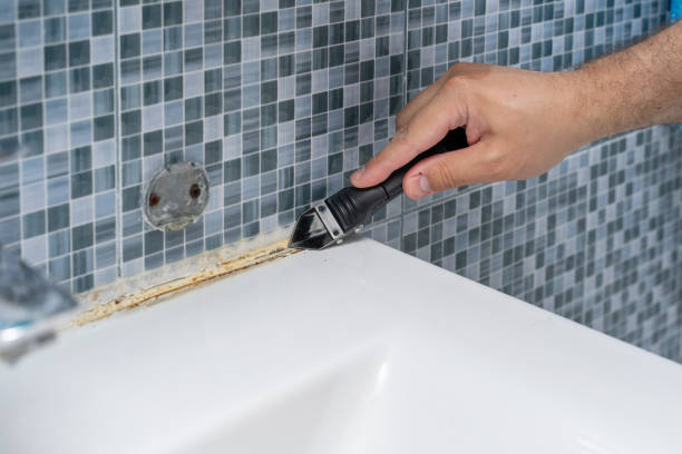 Trusted College Park, GA Mold Removal Experts