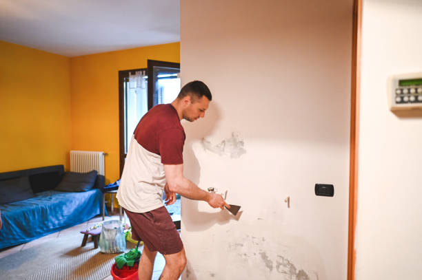 Best Mold Cleaning Services  in College Park, GA